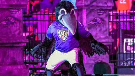 Watch: Ravens mascot's injury during mascot race mishap